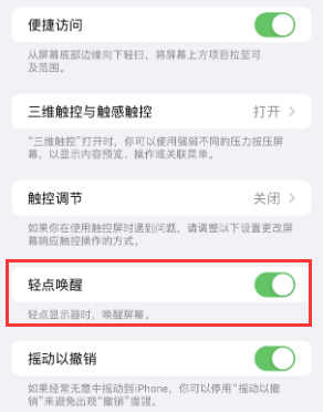 肃宁苹果授权维修站分享iPhone轻点无法唤醒怎么办 