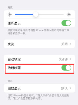 肃宁苹果授权维修站分享iPhone轻点无法唤醒怎么办