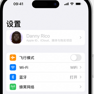 肃宁appleID维修服务iPhone设置中Apple ID显示为灰色无法使用 