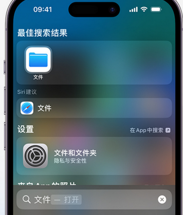 肃宁apple维修中心分享iPhone文件应用中存储和找到下载文件 