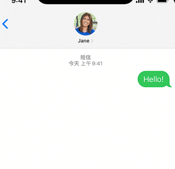 肃宁apple维修iPhone上无法正常发送iMessage信息