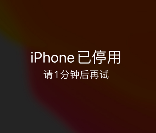 肃宁苹果手机维修分享:iPhone 显示“不可用”或“已停用”怎么办？还能保留数据吗？ 