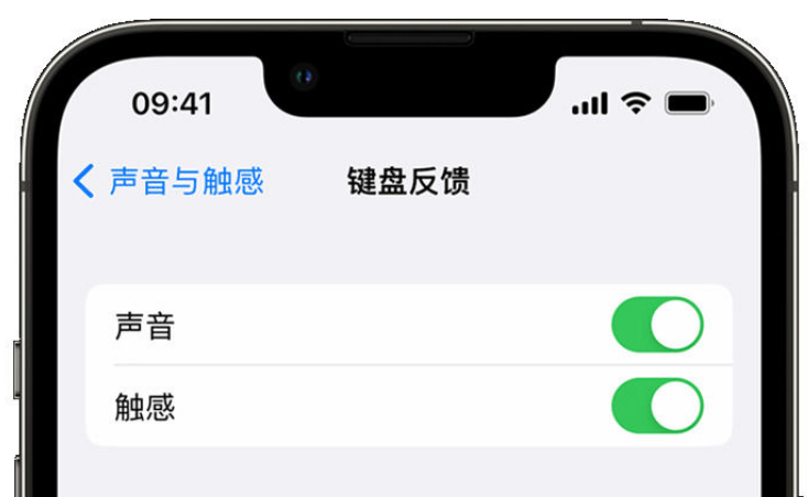 肃宁苹果手机维修分享iPhone 14触感键盘使用方法 