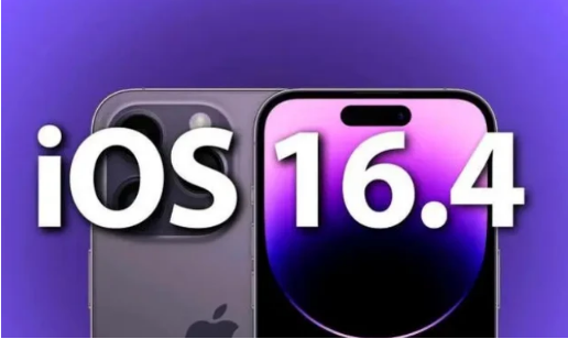 肃宁苹果14维修分享：iPhone14可以升级iOS16.4beta2吗？ 