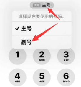 肃宁苹果14维修店分享iPhone 14 Pro Max使用副卡打电话的方法 