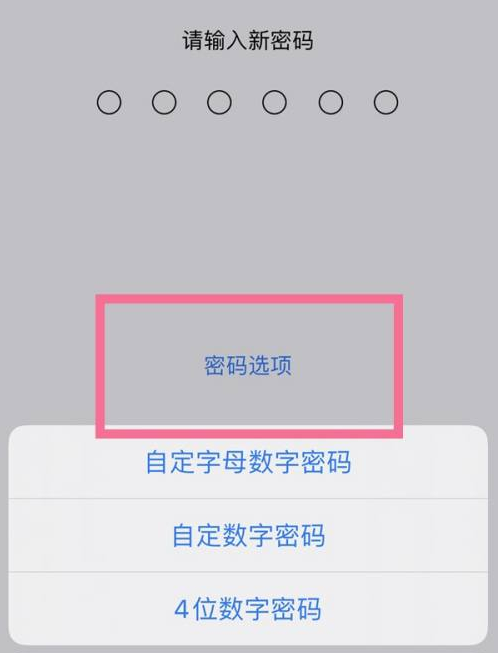 肃宁苹果14维修分享iPhone 14plus设置密码的方法 