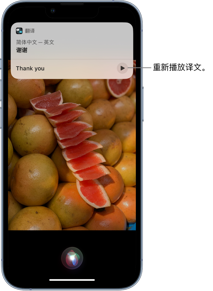 肃宁苹果14维修分享 iPhone 14 机型中使用 Siri：了解 Siri 能帮你做什么 