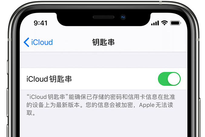 肃宁苹果手机维修分享在 iPhone 上开启 iCloud 钥匙串之后会储存哪些信息 